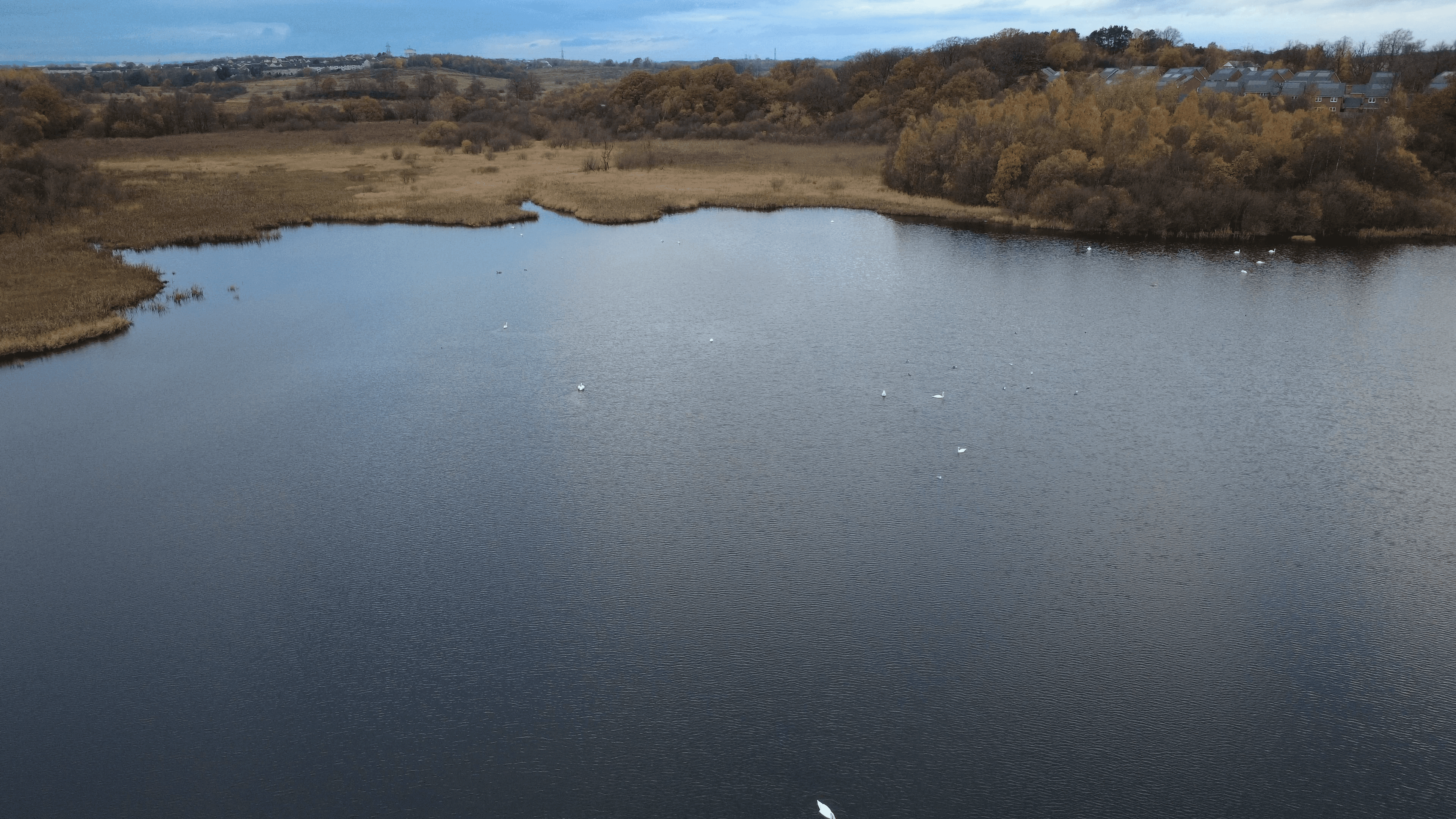 Bishop Loch 2025 Autumn drone image
