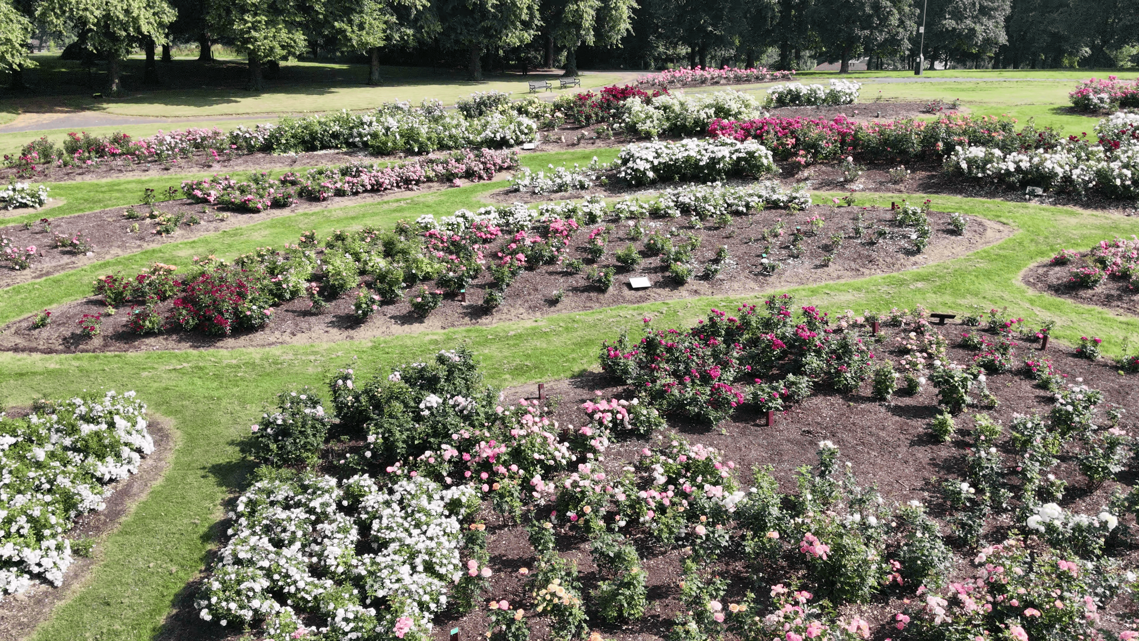 Tollcross Park Drone Image 2026 summer